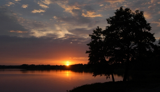 Landscape tree water nature Photo