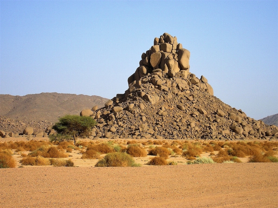 Lanskap pohon pasir rock