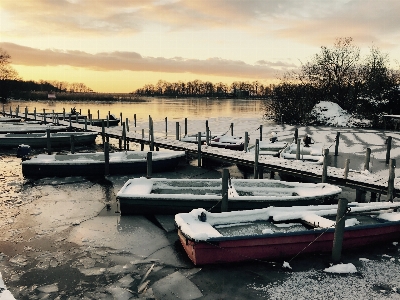 景观 树 水 雪 照片