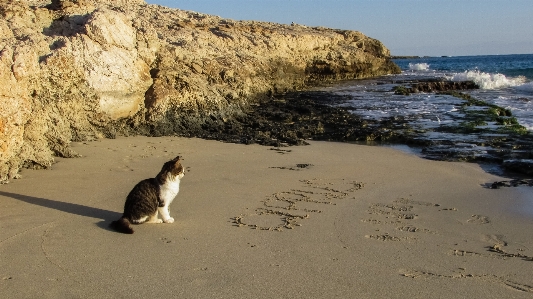 Zdjęcie Plaża morze wybrzeże piasek