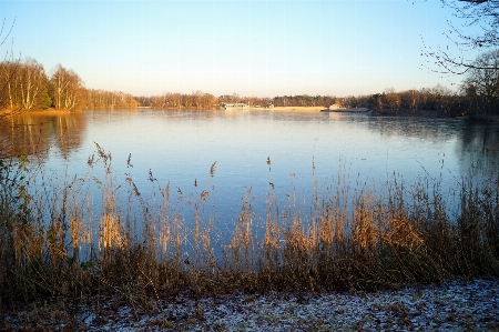 Landscape tree water nature Photo