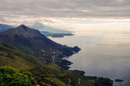 風景 海 海岸 木 写真