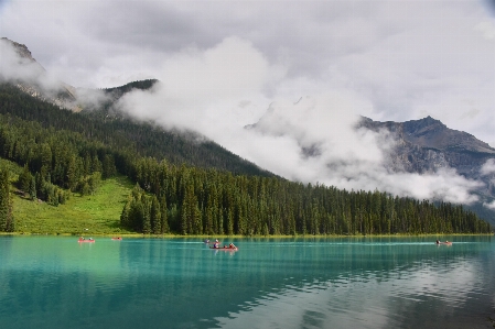 Landscape tree water nature Photo