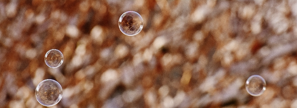 Wasser schweben bunt nahaufnahme
