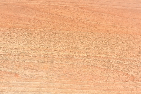 Wood texture floor clear Photo