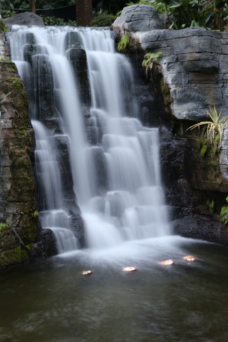 Paisaje árbol agua naturaleza