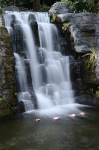 Landscape tree water nature Photo