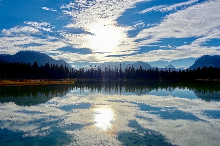 Landscape tree water nature Photo