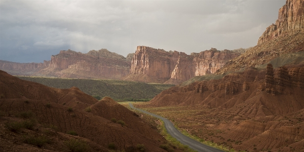 Landscape tree rock wilderness Photo