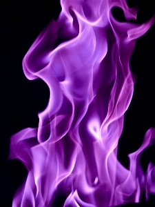 Glowing purple petal fire Photo