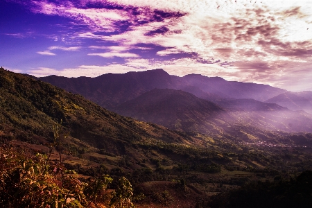 Foto Paisagem árvore natureza floresta