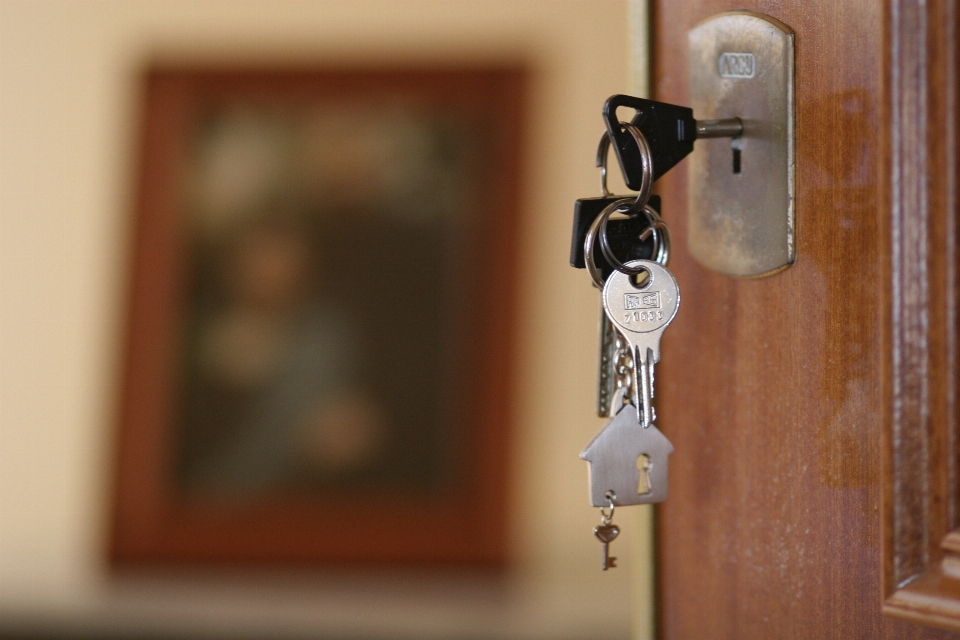 Wood home door housing