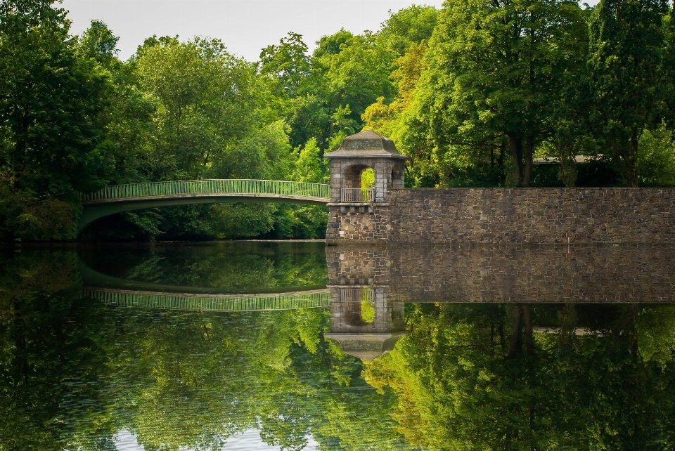 Paesaggio albero acqua natura