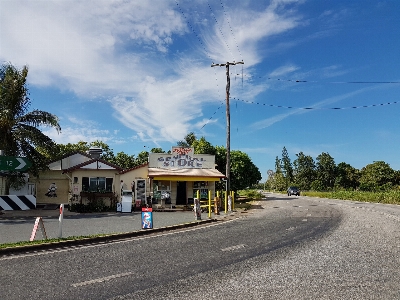 Beach coast tree road Photo