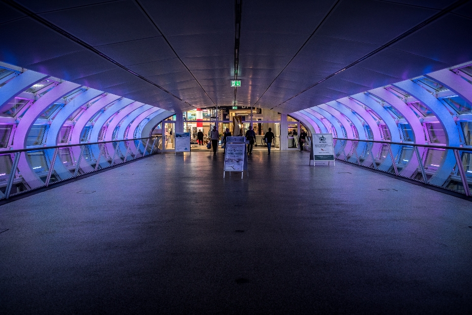 ライト 構造 橋 夜