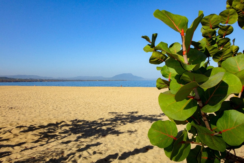 ビーチ 海 海岸 水