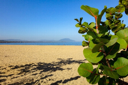 Beach sea coast water Photo