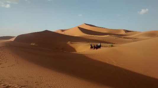 Foto Paesaggio sabbia deserto duna
