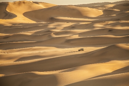 Landscape sand car desert Photo