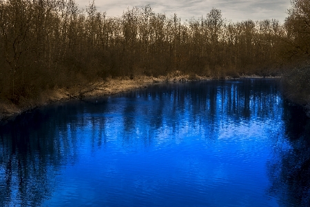 Landschaft baum wasser natur Foto