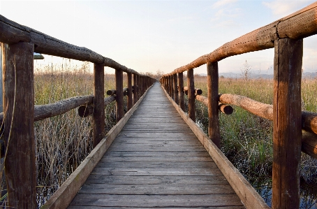 Nature boardwalk wood trail Photo