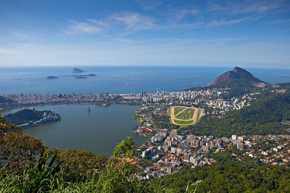 景观 海 海岸 地平线