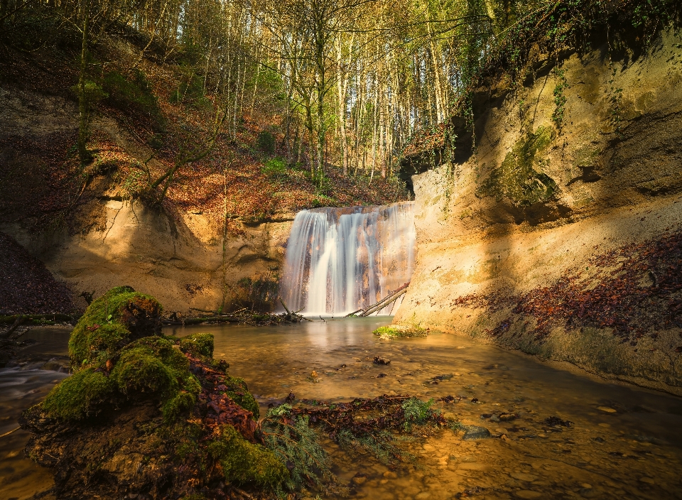 Landscape water nature forest