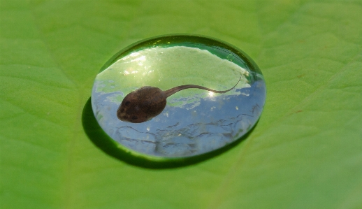 水 自然 落とす 液体 写真