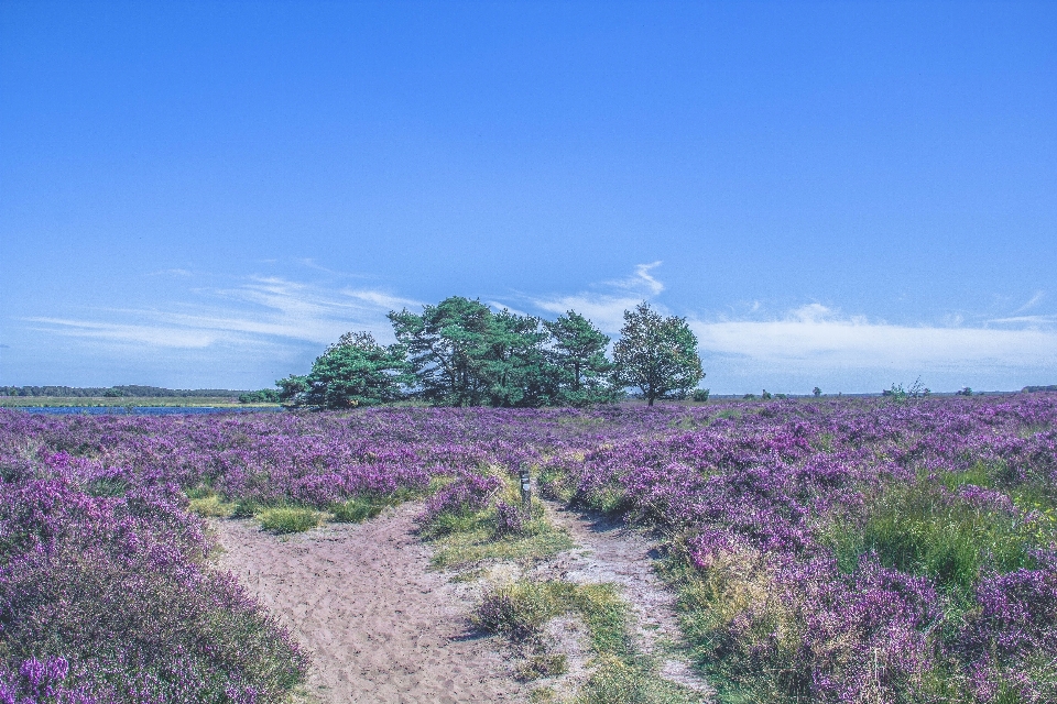 Paesaggio natura all'aperto orizzonte