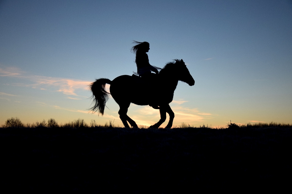 Paysage silhouette lever du soleil cheval