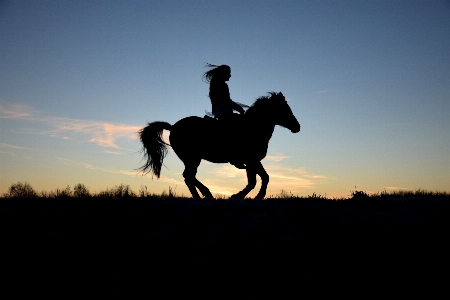 Landscape silhouette sunrise horse Photo