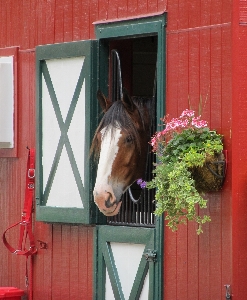 Wood house window barn Photo