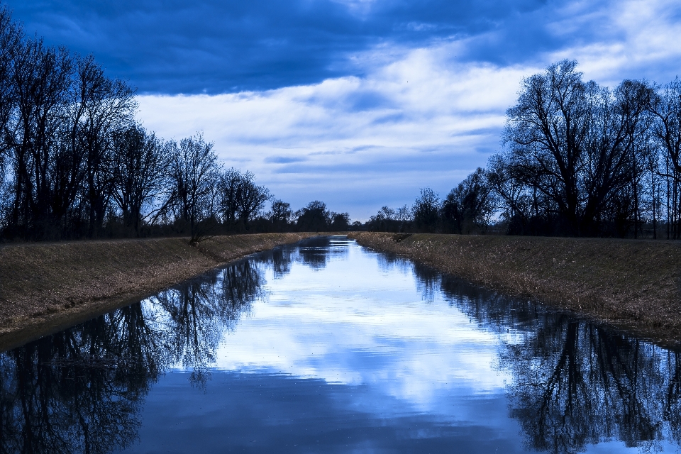 Paisagem árvore água natureza