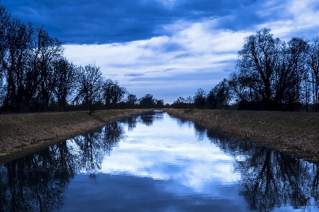 風景 木 水 自然 写真