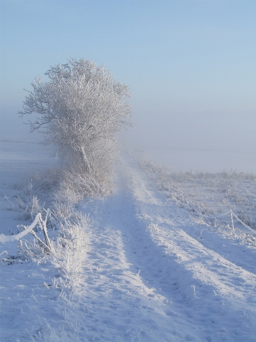 Krajobraz natura ścieżka śnieg