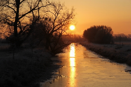 Foto Paesaggio albero acqua natura