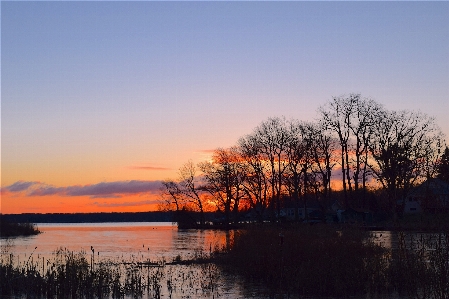 Landscape tree water nature Photo