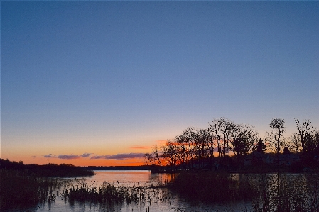 Landscape tree water nature Photo