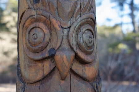 Tree wood old monument Photo