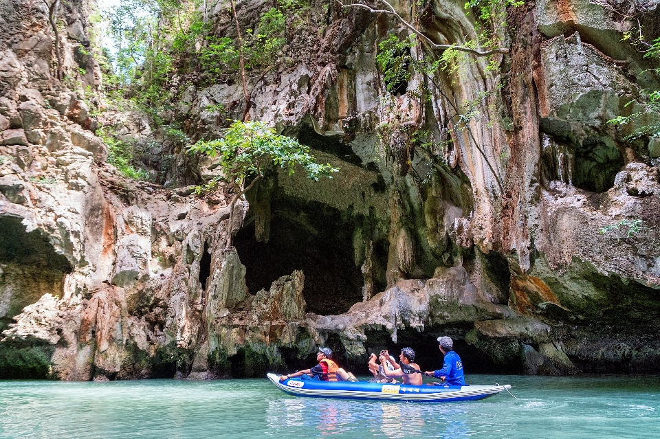 Paisaje mar árbol agua