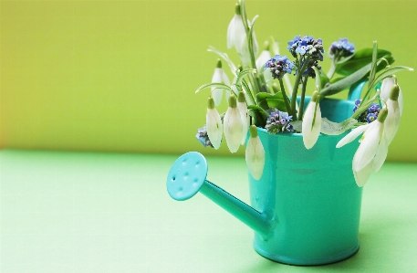 White flower bloom vase Photo