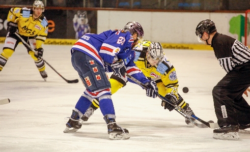 Player ice hockey sports Photo