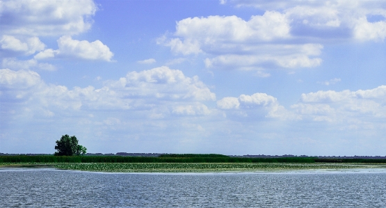 Landscape sea tree water Photo