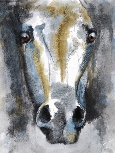 Animal portrait horse painting Photo