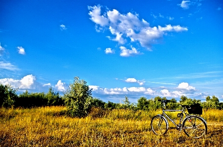 Landscape grass horizon cloud Photo