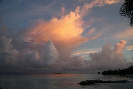 Sea coast ocean horizon Photo