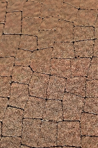 Structure wood texture floor Photo