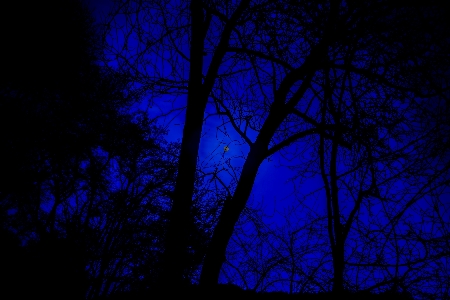 Foto Leggero cielo notte struttura