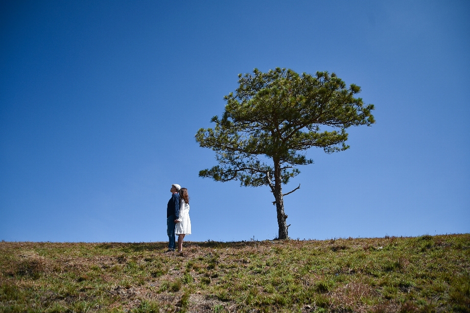 Mann landschaft baum natur