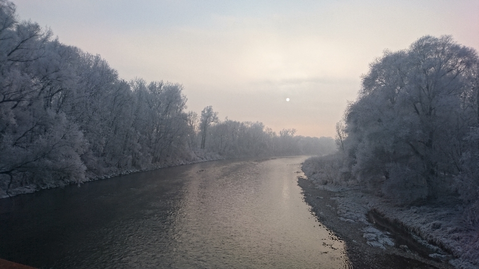 Paesaggio albero acqua natura